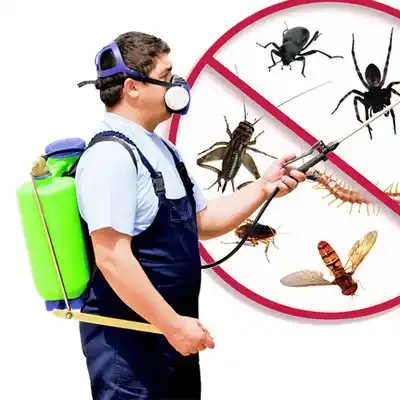 pest control Valley Stream